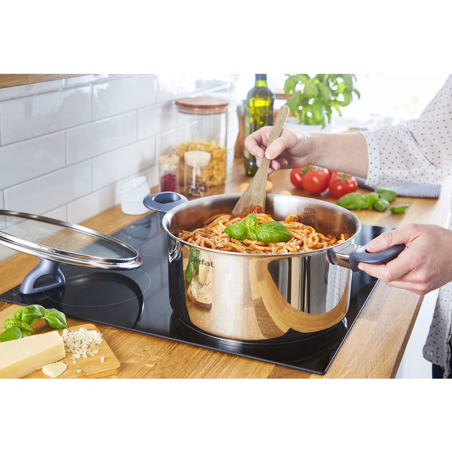 Tefal 5L Induction 24cm Stewpot