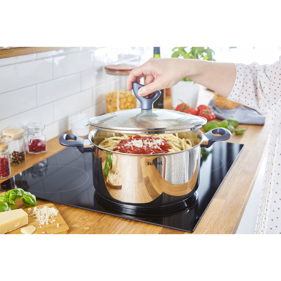 Tefal 5L Induction 24cm Stewpot